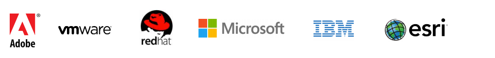 software licensing solution